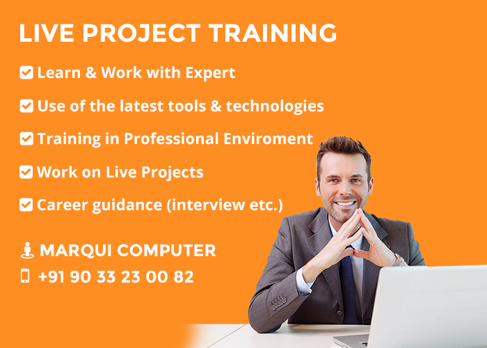 Final year Live Project Training