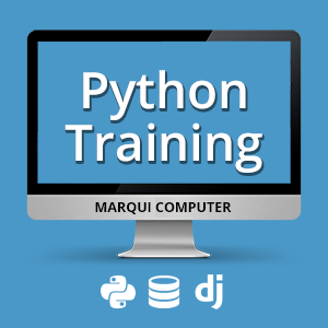 Python Training Course